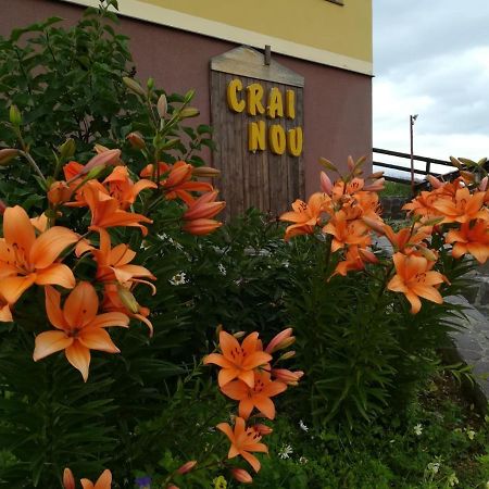 Pensiunea Crai Nou Şirnea Exterior foto