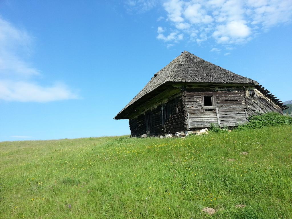 Pensiunea Crai Nou Şirnea Exterior foto