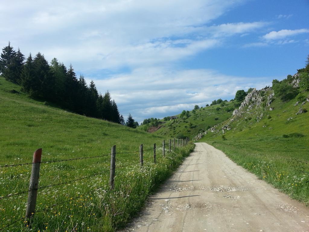Pensiunea Crai Nou Şirnea Exterior foto
